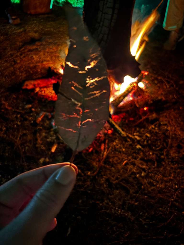 Firelight at the Colombia Writers Retreat